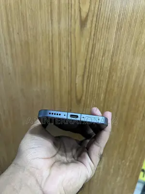 Vivo X300 Pro 512 GB Black