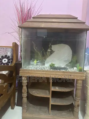 2x1 Feet Aquarium With Accessories