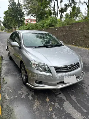 Toyota Axio 2009 Silver