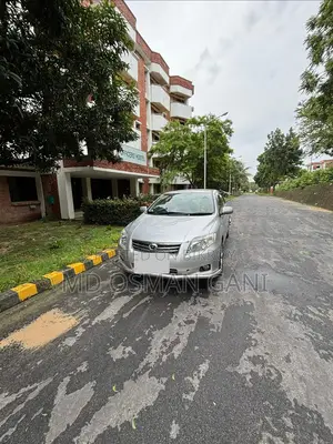 Toyota Axio 2009 Silver