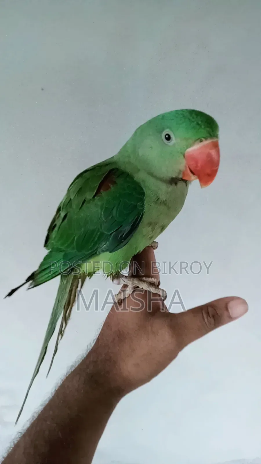 আলেকজান্ডার প্যারট