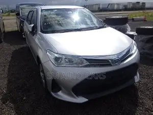 Toyota Axio 2021 Silver