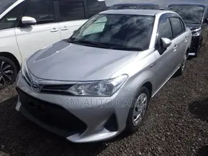 Toyota Axio 2021 Silver