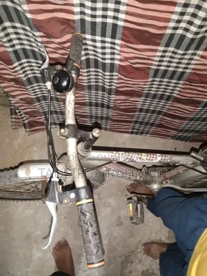 সাইকেল প্রিন্স