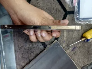 অ্যাপল আইফোন ১২ প্রো ম্যাক্স ১২৮ জিবি গোল্ড