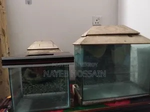 Fish Tank 4 Piece