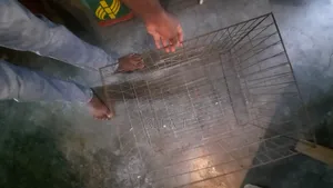 ১ তালা খাচা