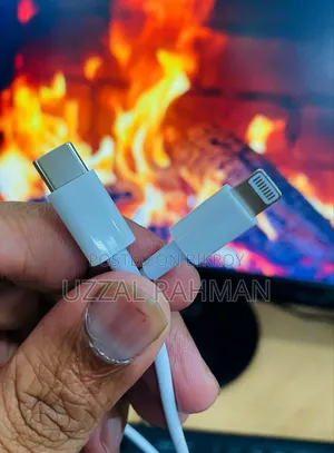 iPhone 14 Pro Max Charger
