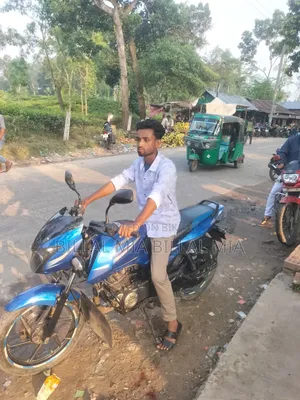 Bajaj Pulsar 150 2017 Blue