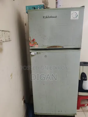Singer Fridge
