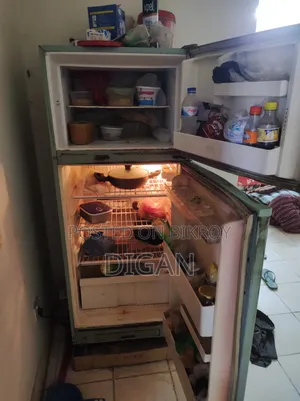Singer Fridge