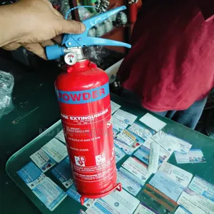 1 Kg DCP Fire Extinguisher