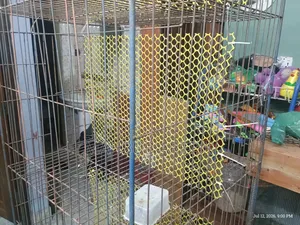 মোটা শিকের লোহার খাঁচা