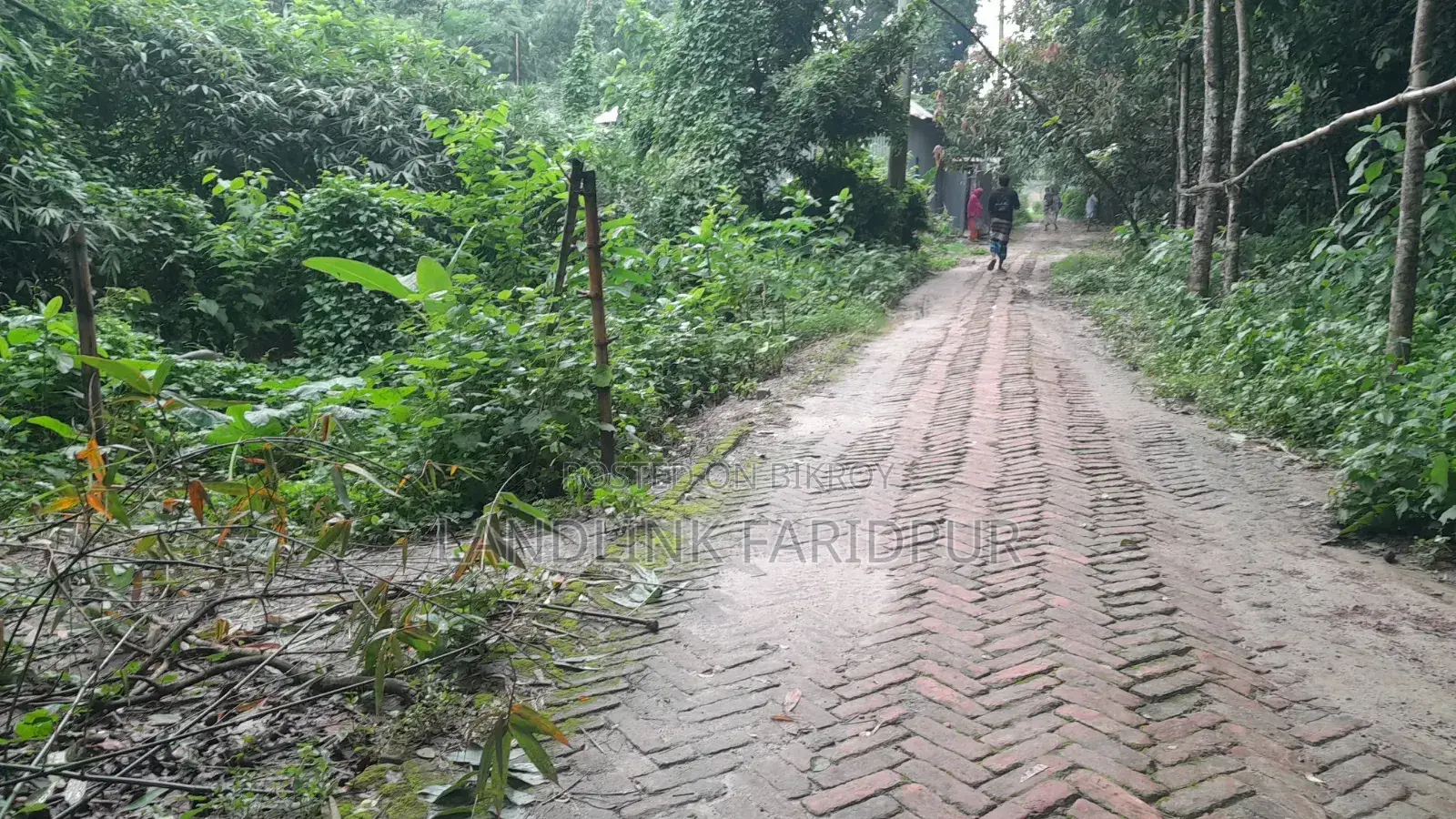 18 Shotok land next to Faridpur Muslim Mission and Military School.