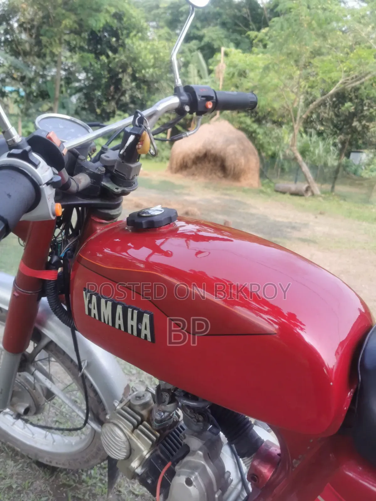 Yamaha 1980 Red