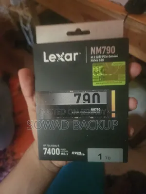 1 TB NVMe Lexar 790