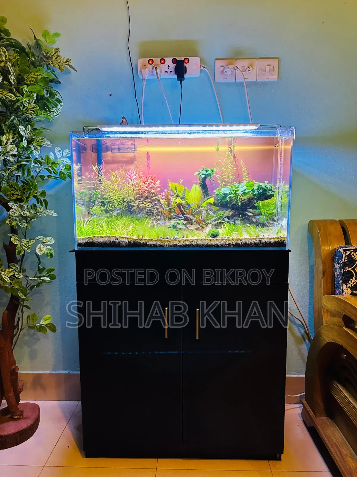 Aquarium Cabinet