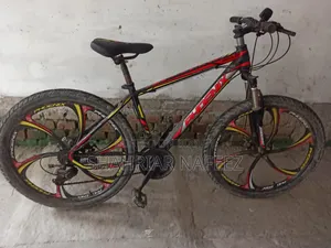 Phoenix MTB 26" Cycle