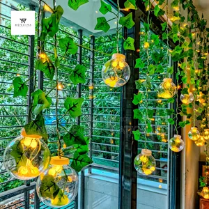 Wishball Fairy Light