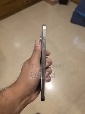 অ্যাপল আইফোন ১৬ প্রো ম্যাক্স ১ টিবি সিলভার