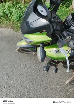 Bajaj Avenger 160 Street 2014 Green