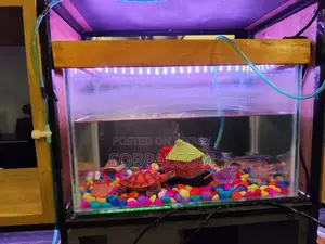 Decorated Glass Aquarium Setup With Led Light Accessories