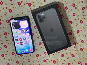 Apple iPhone 11 Pro 256 GB Gray
