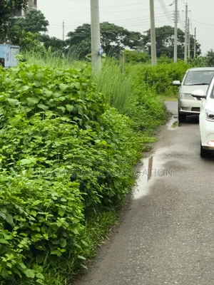 54 Ft Road South-East Corner 5 Katha Plot Sale Sector:15, Purbachal.