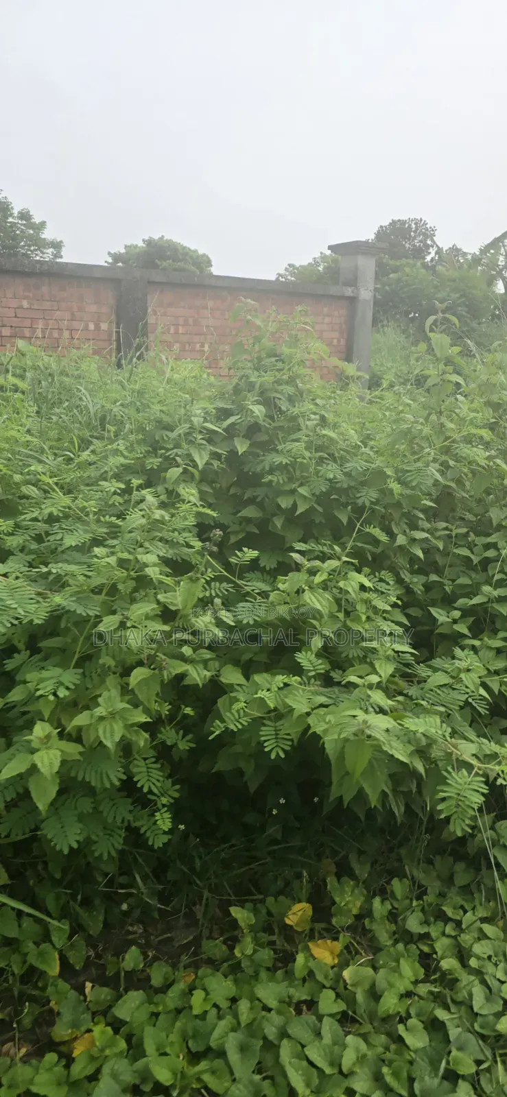 Rajuk Purbachal 3 Katha South Facing Plot
