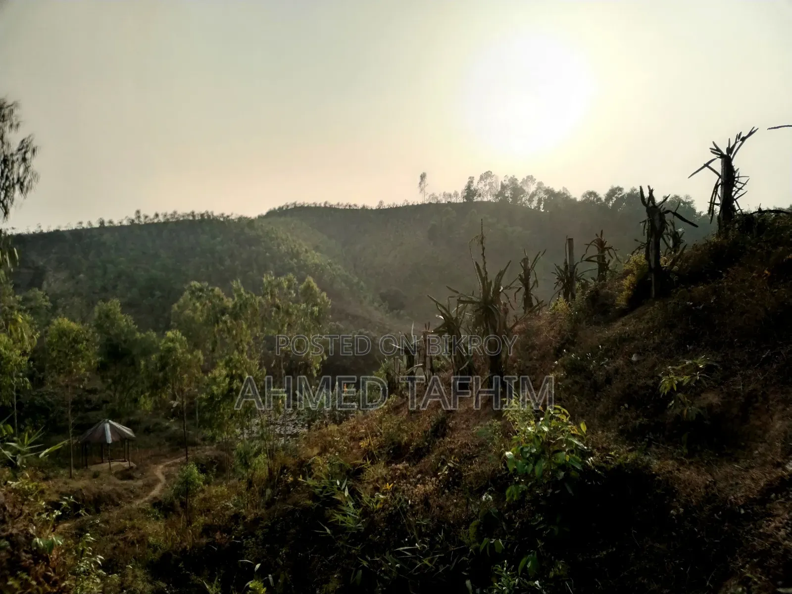 Commercial or Project Focused Land