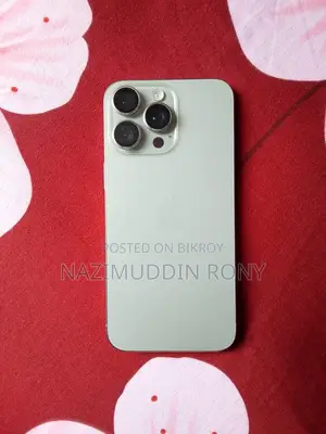 Apple iPhone 15 Pro Max 256 GB Gray