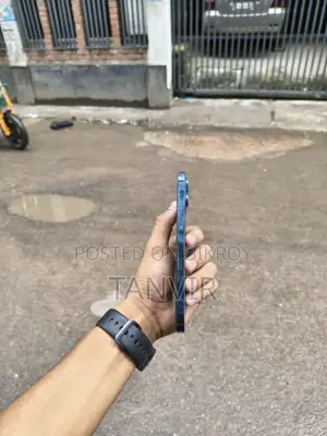 Apple iPhone 12 Pro Max 256 GB Blue