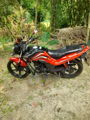 হিরো প্যাশন প্রো ২০১৯ রেড