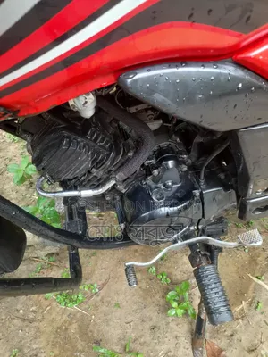 Hero Passion Pro 2019 Red