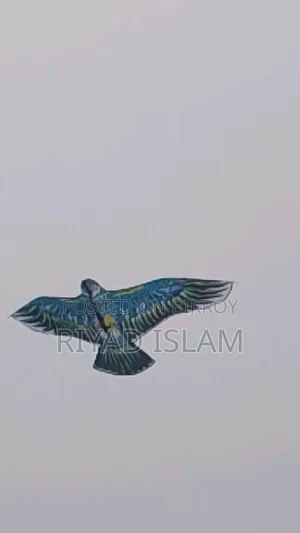 A very beautiful kite