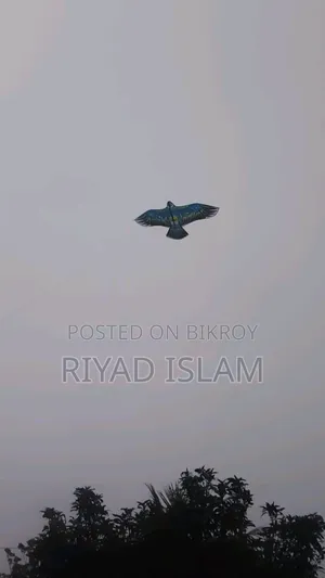খুব সুন্দর একটা ঘুরি