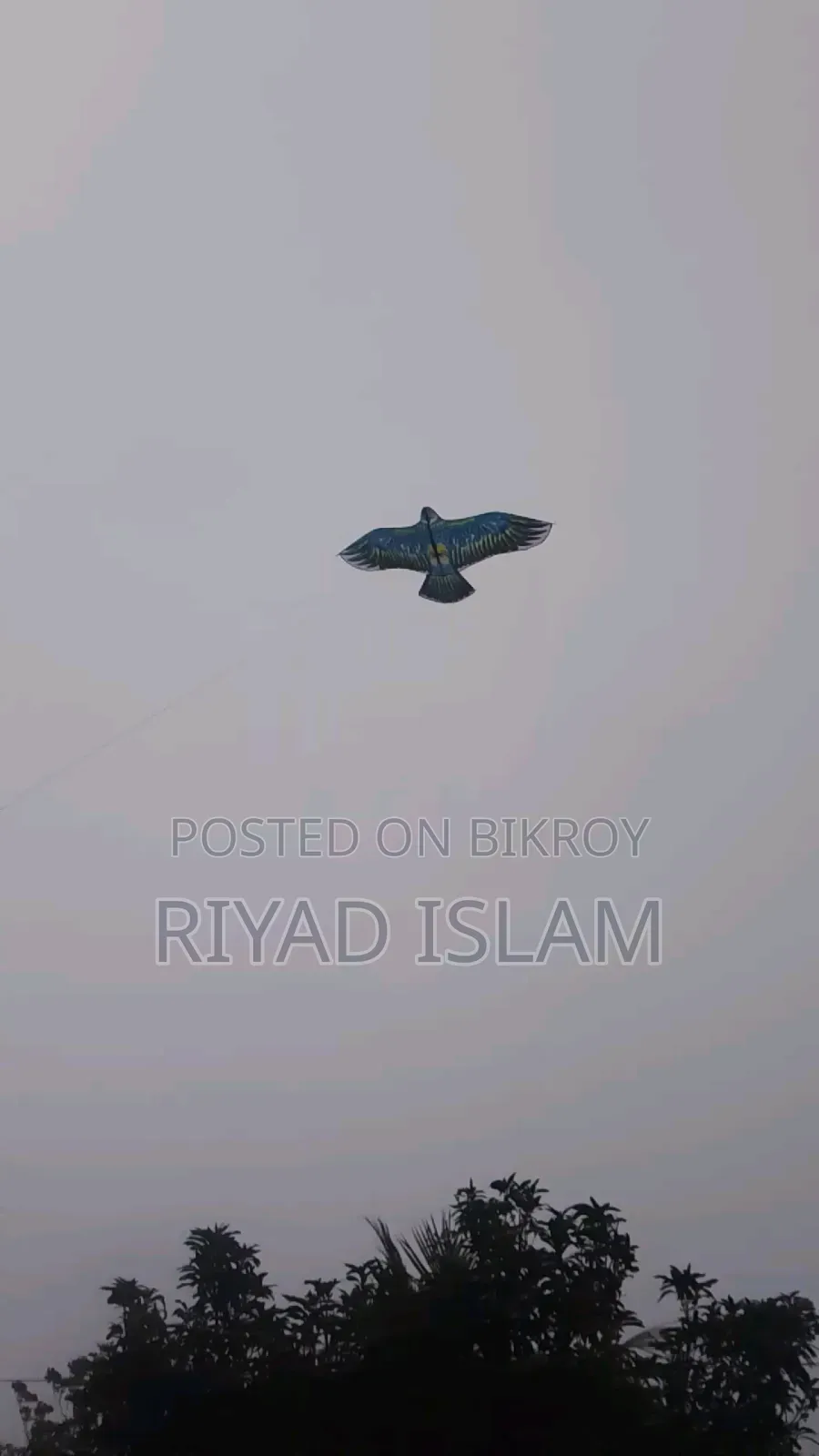 খুব সুন্দর একটা ঘুরি