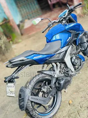 Bajaj Pulsar N250 2024 Blue