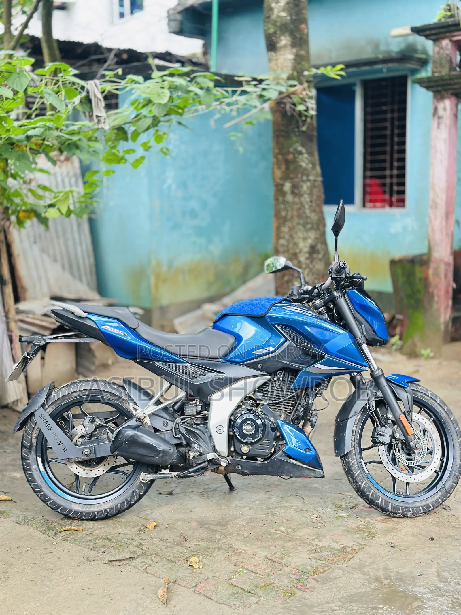 Bajaj Pulsar N250 2024 Blue