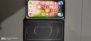 Apple iPhone 12 Pro Max 256 GB