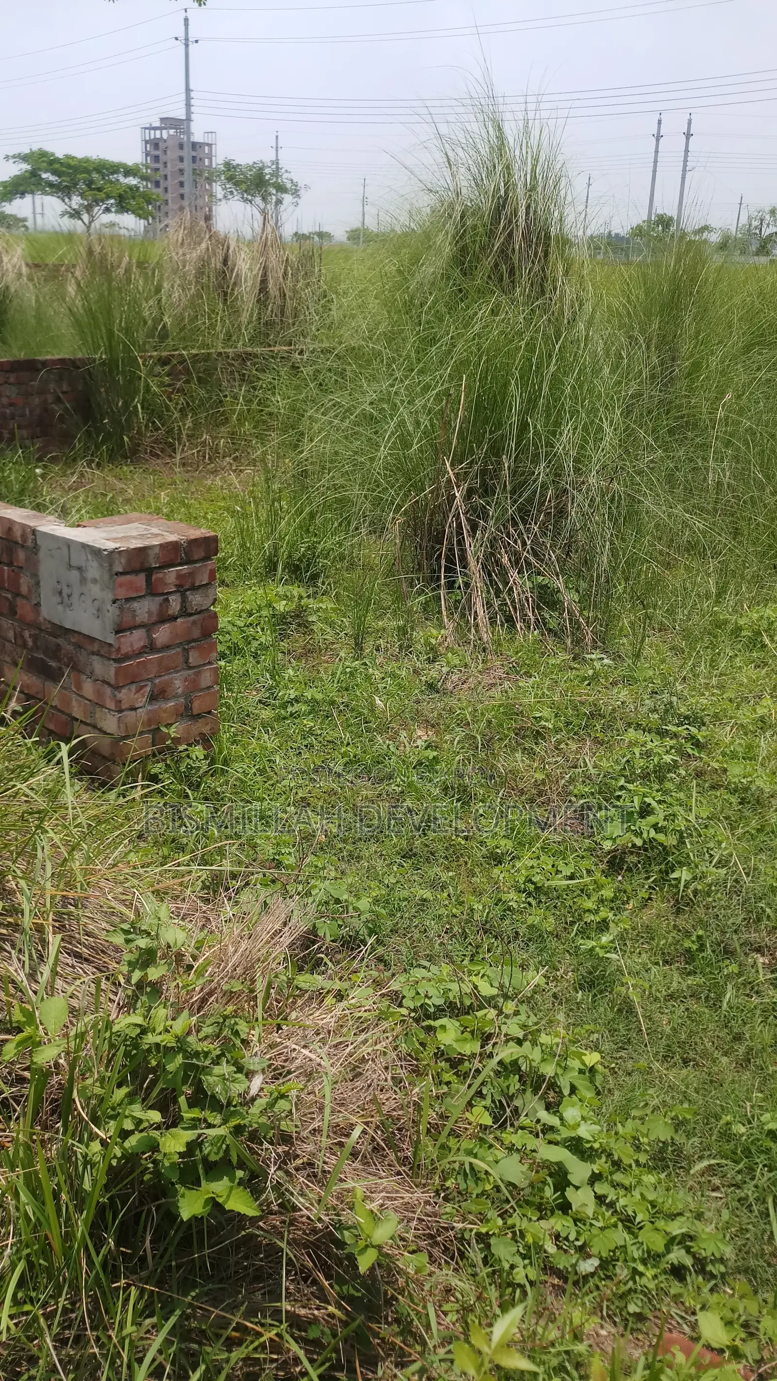 P-Block 3 Katha South Phase Plot Bashundhara R/A