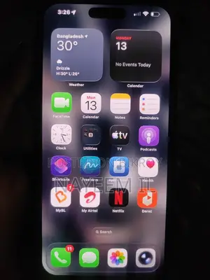 Apple iPhone 15 Pro Max 256 GB Gray