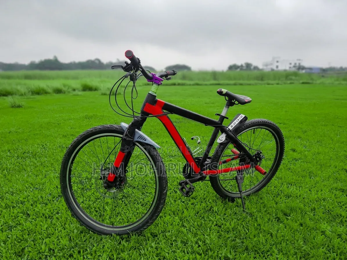 Modified Mountain Bike for Sale (Shimano Gear Dual Disc)