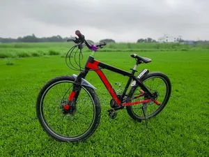 Modified Mountain Bike for Sale (Shimano Gear Dual Disc)