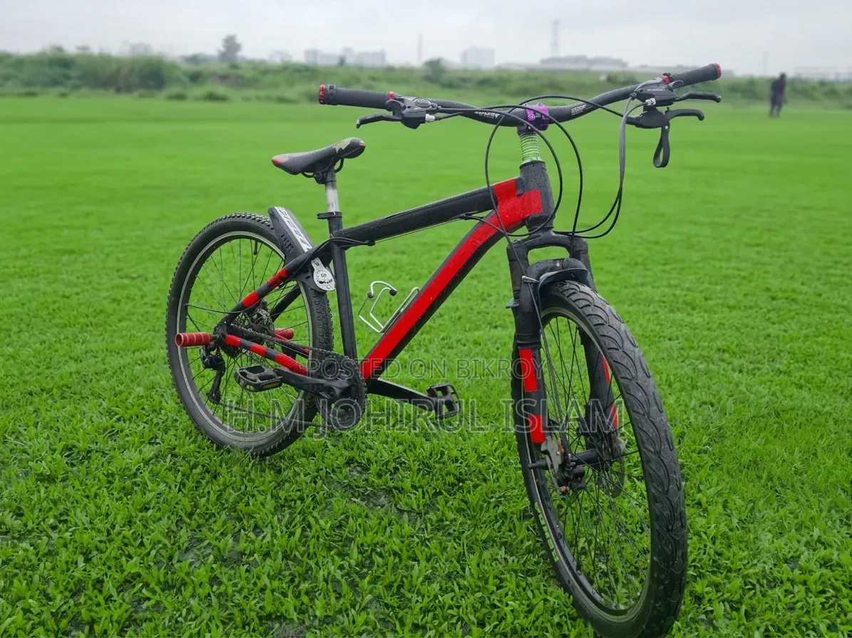 Modified Mountain Bike for Sale (Shimano Gear Dual Disc)