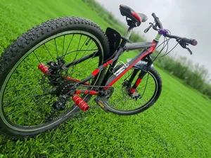 Modified Mountain Bike for Sale (Shimano Gear Dual Disc)
