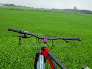 Modified Mountain Bike for Sale (Shimano Gear Dual Disc)