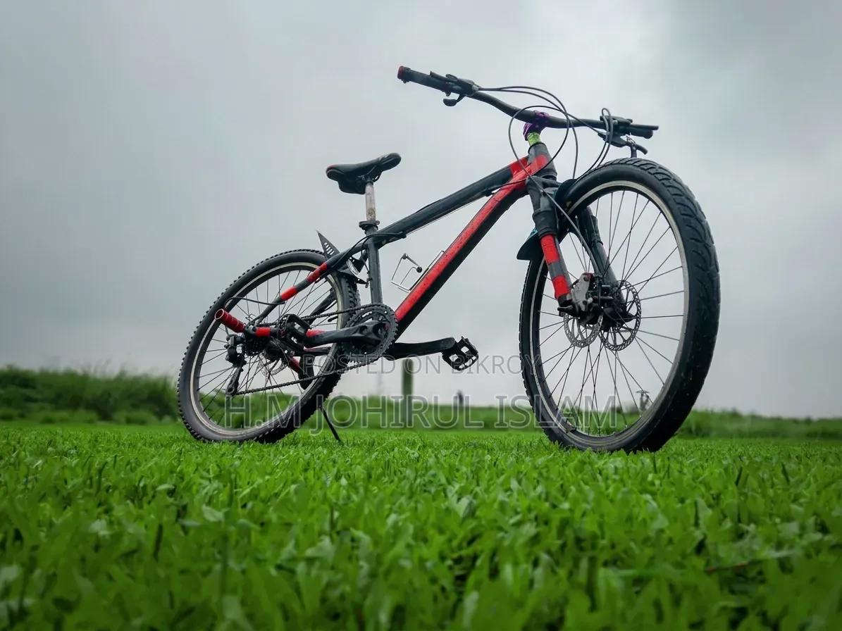 Modified Mountain Bike for Sale (Shimano Gear Dual Disc)