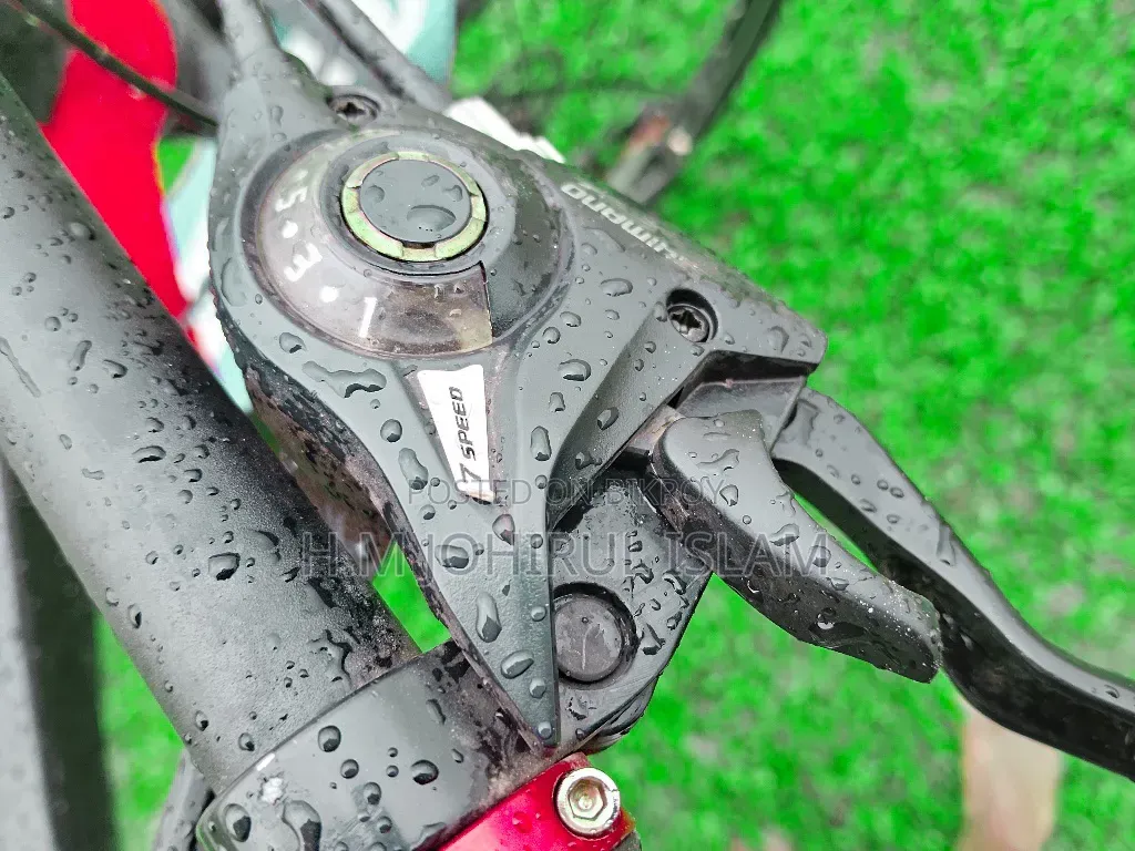 Modified Mountain Bike for Sale (Shimano Gear Dual Disc)