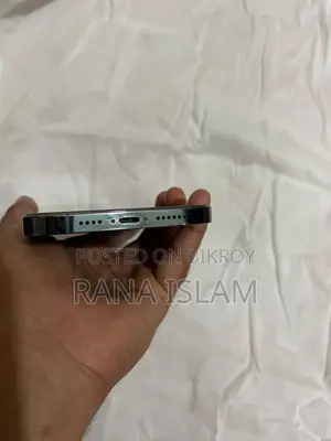 Apple iPhone 12 Pro Max 256 GB Blue